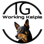 IG-Working-Kelpie